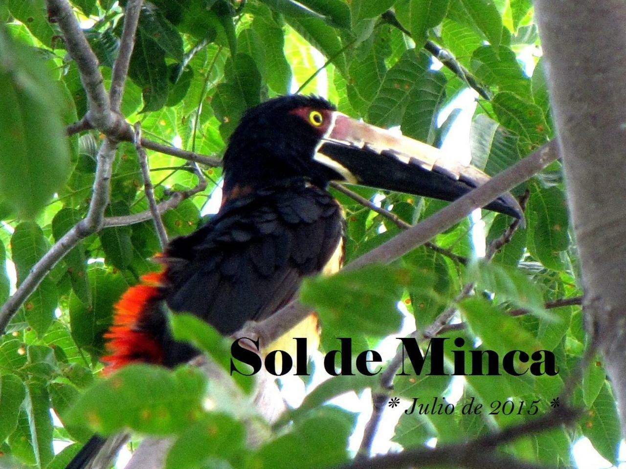 Sol De Eco Minca